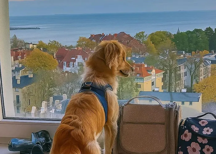 Pokoje przy plaży z widokiem na morze